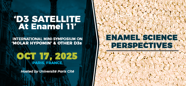 The D3 Group the D3 Group